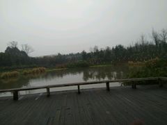 -白鹭湾湿地公园