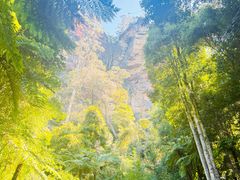 -热带雨林自然公园