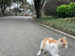 -无锡梅园公园