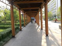-首都医科大学附属北京潞河医院