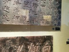 -白鹤梁水下博物馆