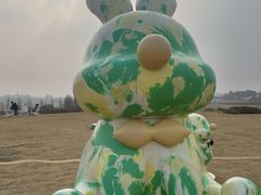 -空港花田景区