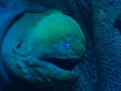 -太平洋海底世界