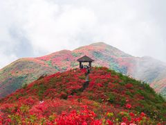 -大围山国家森林公园