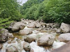 -青峰峡国家森林公园