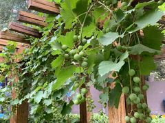 -北京东直门智选假日酒店