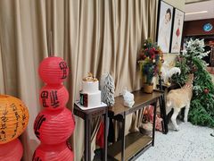 -海马体照相馆(佛山岭南站店)