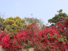 -厦门国家会计学院