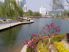 -雁滩公园