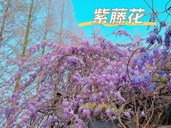 -郑和公园