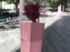 -杏林康桥中医正骨·体态矫正·跌打损伤·推拿按摩(国贸建外SOHO店)
