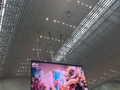 -广州白云国际机场-T2航站楼