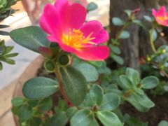 -普陀山风景名胜区-法雨禅寺