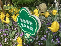 -莫愁湖公园