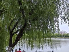 -大宁公园
