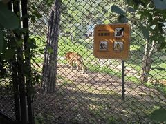 -大连森林动物园