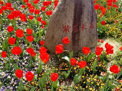 -苏州上方山国家森林公园