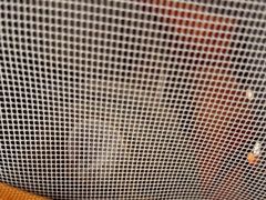 -艾贝尔宠物医院·24H转诊中心·肿瘤猫专科(江宁双龙店)