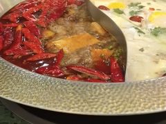 -麻田会 ·鲜活现烹·牛蛙火锅(珠江新城维家思广场店)