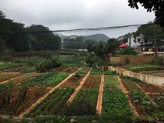 -韶山毛泽东同志故居