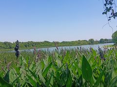 -东湖落雁景区