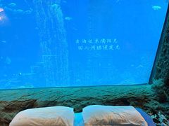 -南昌融创海世界