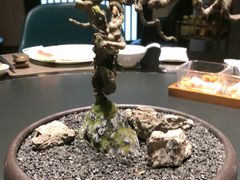 -忆江南·临江鱼馆