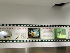 -上海昆虫博物馆