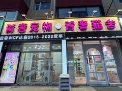 -青奢宠物·青奢猫舍