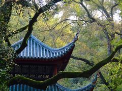 -岳麓山风景名胜区