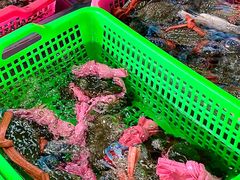 -众味海鲜大排档·活海鲜·潮汕味(南澳店)