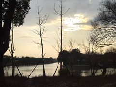 -广富林郊野公园
