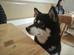 -柴の食堂·日式家庭料理·熊之肆(大学路店)