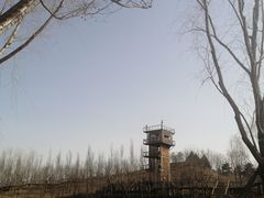-东郊湿地公园