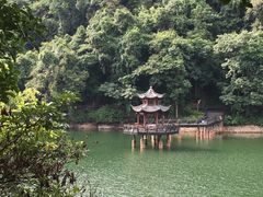 -江西阳明山国家森林公园