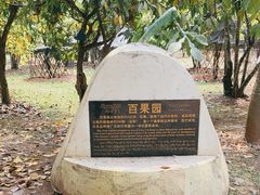 -中国科学院西双版纳热带植物园