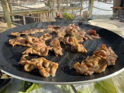 -268童话露营农场·烧烤·团建