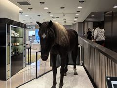 -乐天免税店(明洞店)