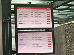 -米兰-马尔彭萨机场