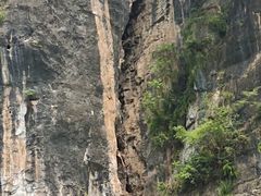 -神农溪纤夫文化旅游区