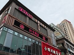 -复旦软件园