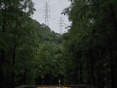 -福道