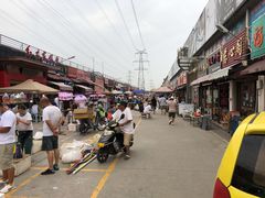 -中环花鸟鱼虫市场