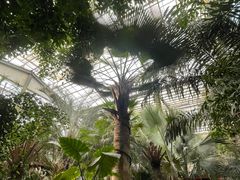 -呀路古热带植物园