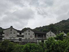 -雁南飞茶田景区