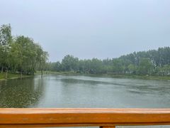 -东郊湿地公园