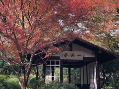 -中国茶叶博物馆(双峰馆区)