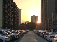 -顺峰山公园