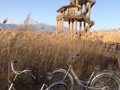 -野鸭湖国家湿地公园