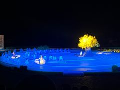 -鼎盛王朝康熙大典实景演出